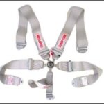 Simpson Camlock Belts (Platinum) - Image 1