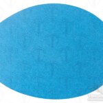 12" x NH Sanding Disc - 80 Grit