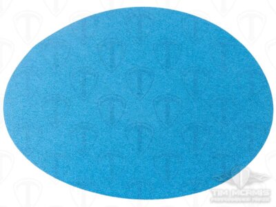 12" x NH Sanding Disc - 80 Grit